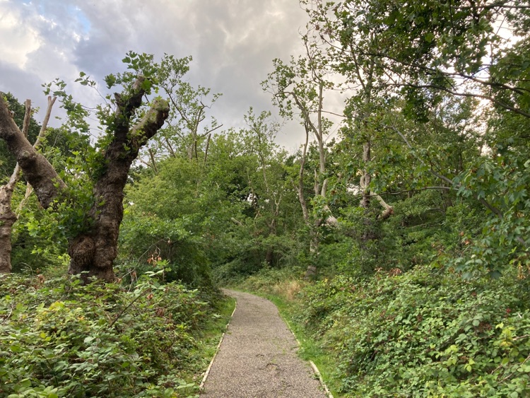 A photo of One Tree Hill