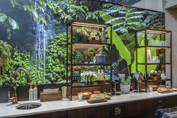 A photo of Aveda