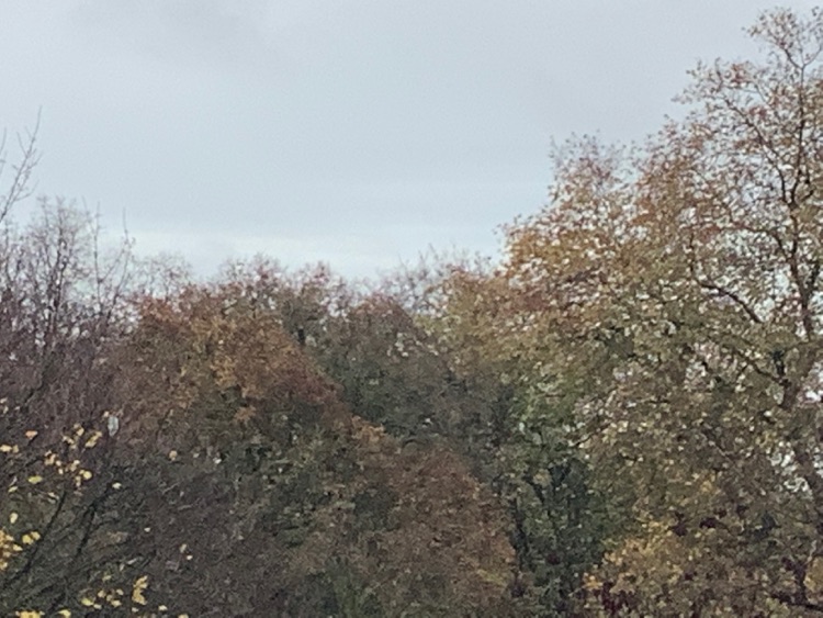 A photo of Battersea Park