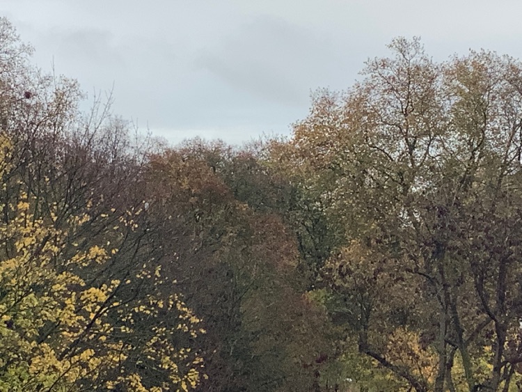 A photo of Battersea Park