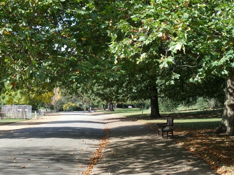 A photo of Dulwich Park