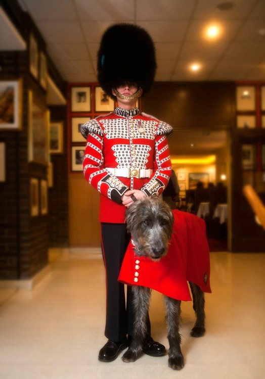 Irish Guard & mascot in UJC.