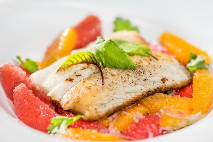 Halibut