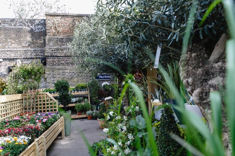 A photo of The Nunhead Gardener