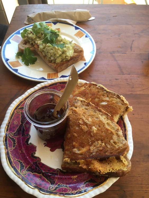 Grilled Cheese and Avocado Sandwich