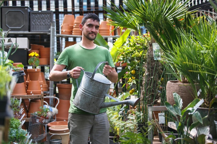 A photo of The Nunhead Gardener