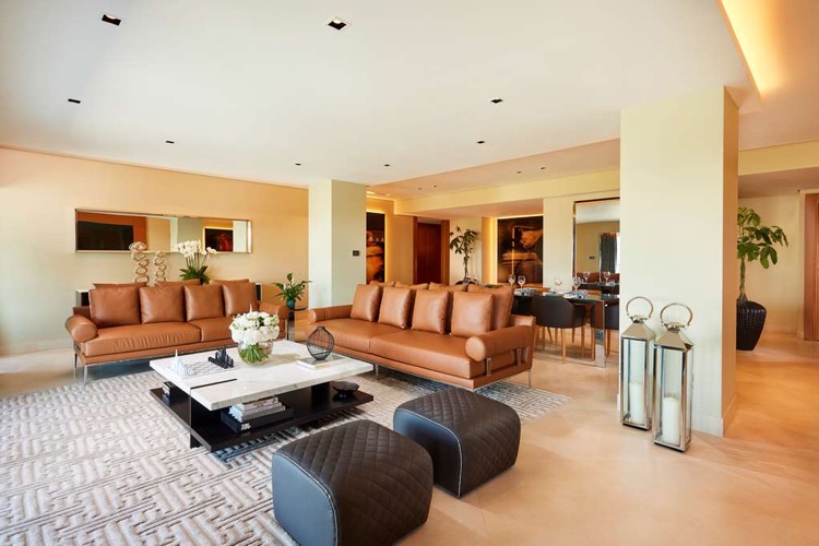 Penthouse Living room