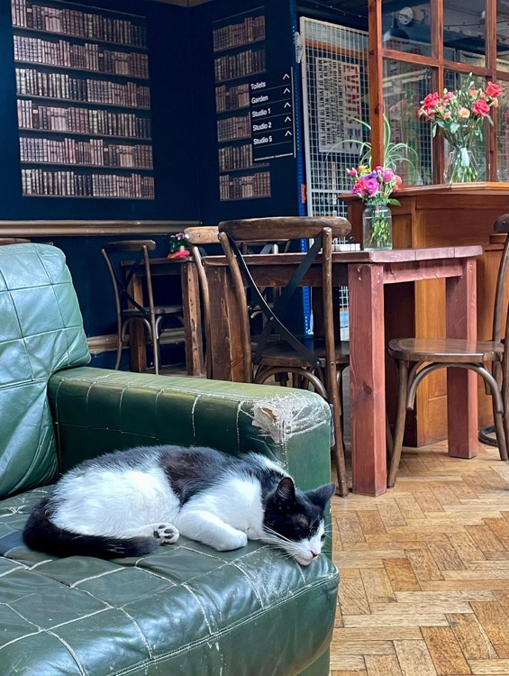 A photo of The Old Library