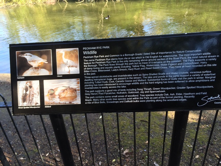 A photo of Peckham Rye Park