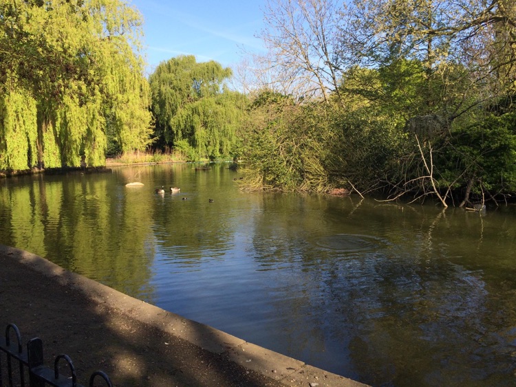 A photo of Peckham Rye Park