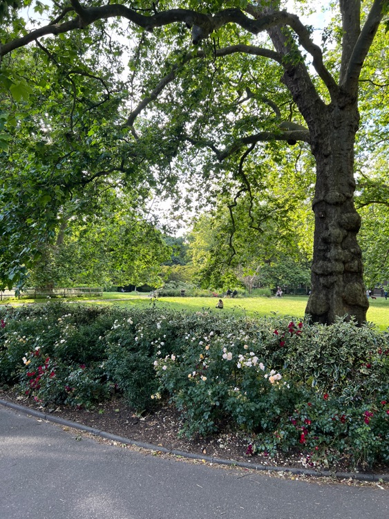 A photo of Russell Square Gardens