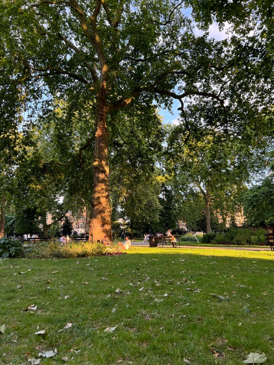 A photo of Russell Square Gardens