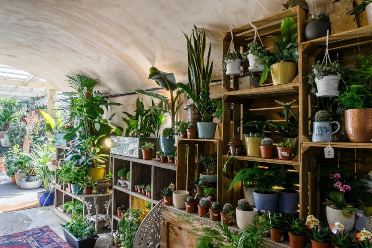 A photo of The Nunhead Gardener