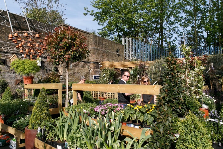 A photo of The Nunhead Gardener