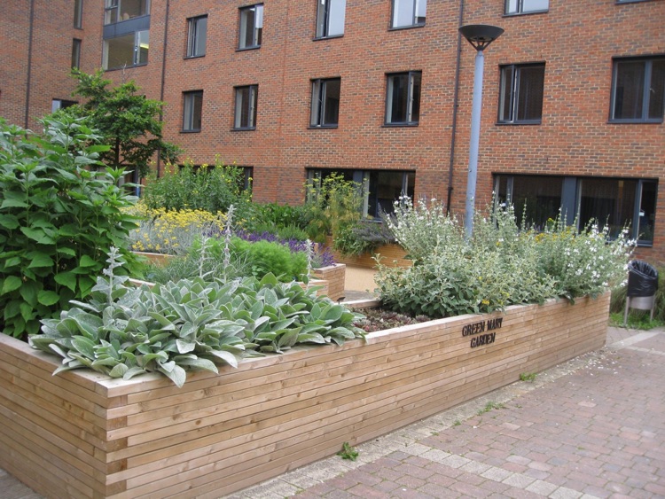The courtyard garden in Beaumont House