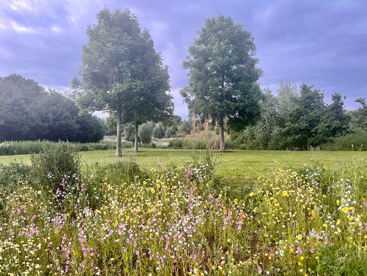 A photo of Queen Elizabeth Olympic Park
