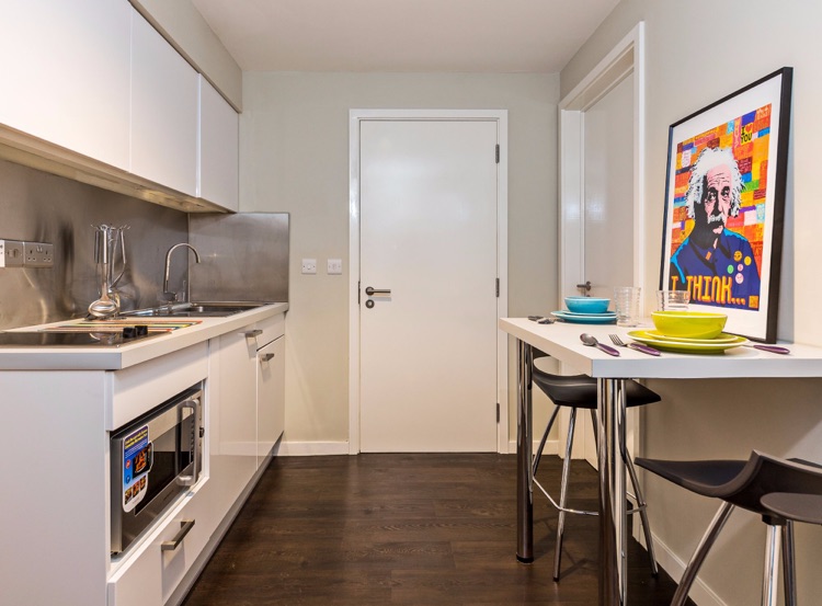 Kitchen - 2 Bedroom Apartment