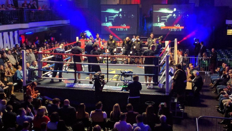 Boxing Ring (Remembrance Rumble)