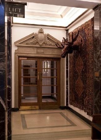 Moose Head and Persian Rug by Debbie Lawson
