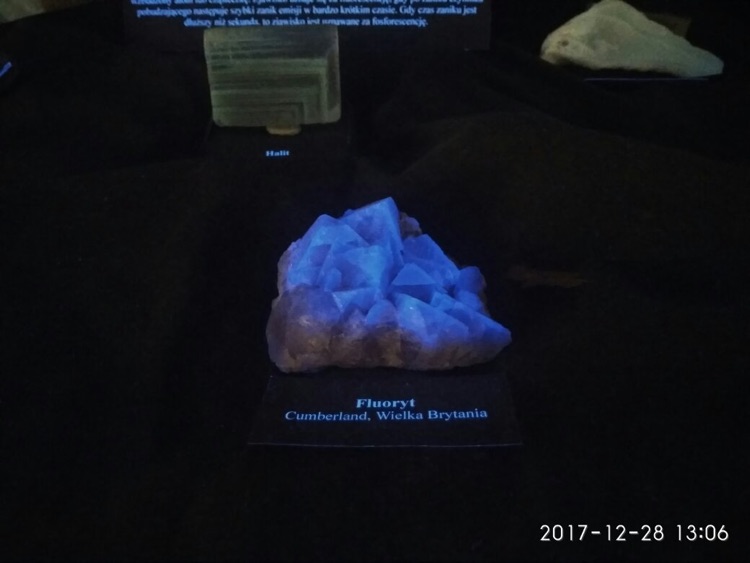 A photo of Earth Museum - Polish Academy of Sciences