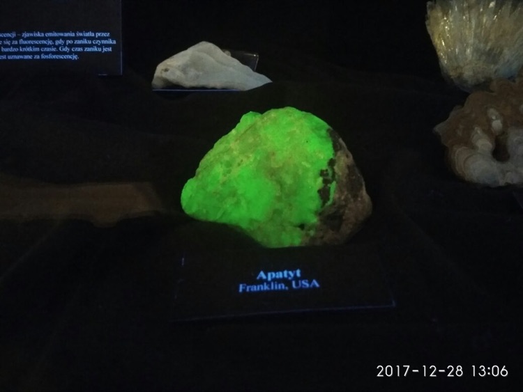 A photo of Earth Museum - Polish Academy of Sciences