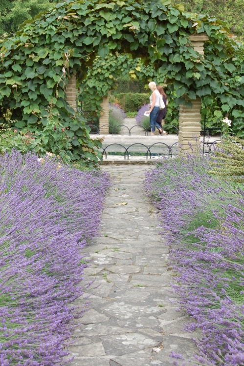 A photo of Peckham Rye Park