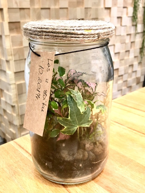 Forest in the jar...we love it.
