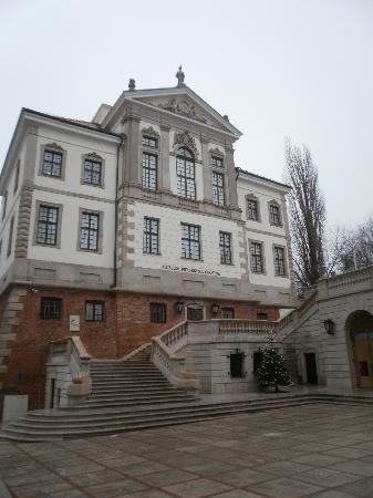 F.Chopin Museum, Warsaw- January 2011