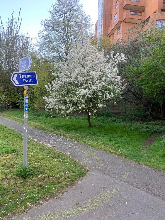 A photo of King Edward Memorial Park