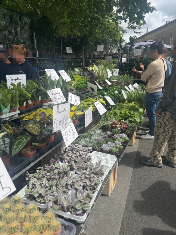 A photo of Columbia Road Shops & Flower Market