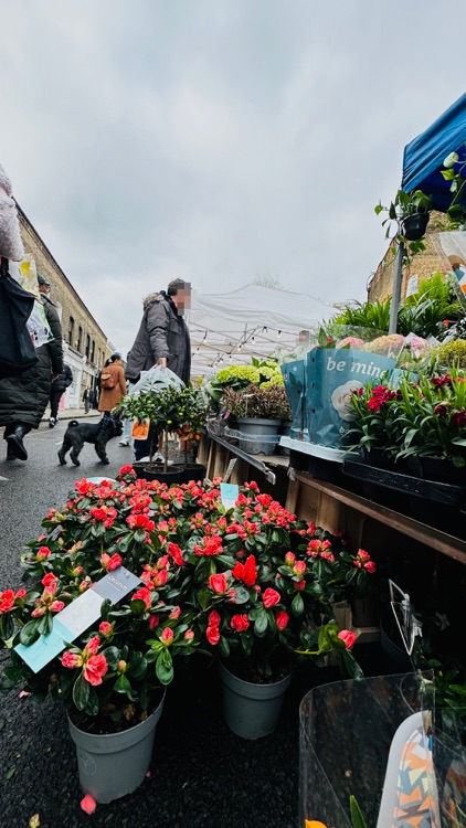 A photo of Columbia Road Shops & Flower Market