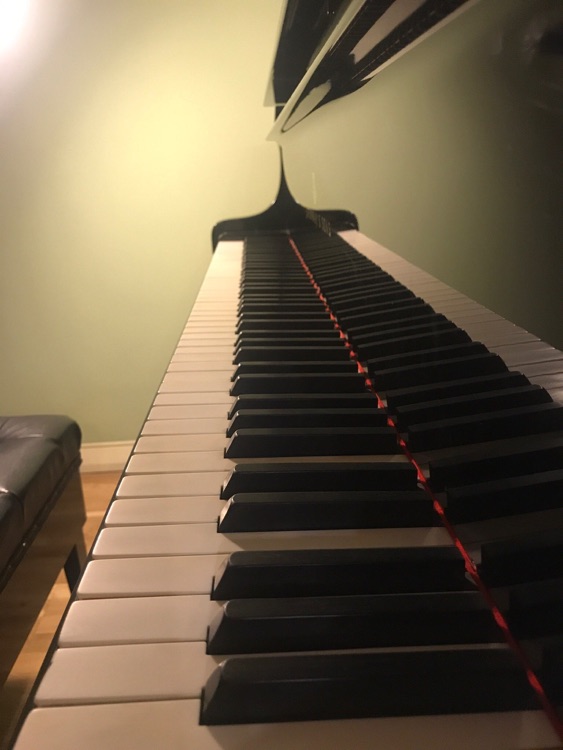 A photo of Chopin Salon