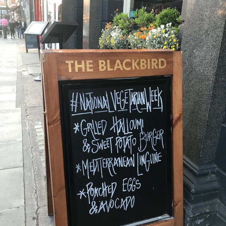 A photo of Blackbird Bakery