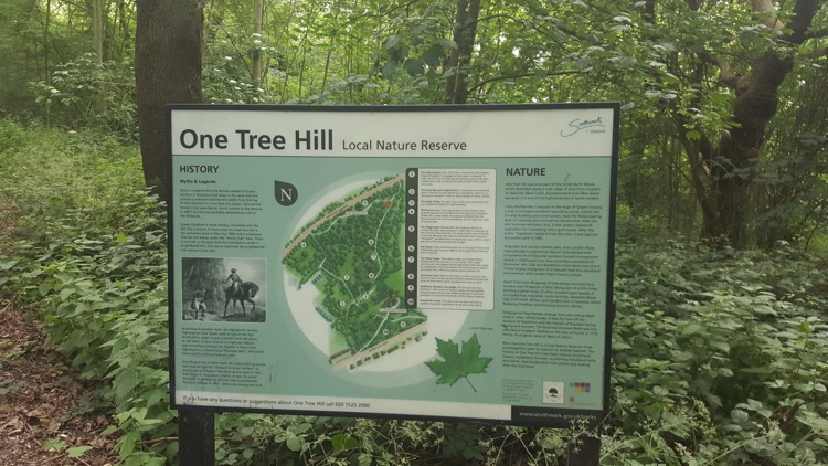 Map of One Tree Hill