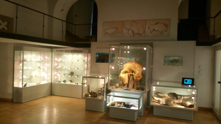 A photo of Earth Museum - Polish Academy of Sciences