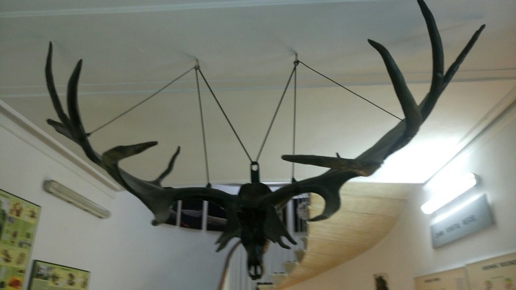 A photo of Earth Museum - Polish Academy of Sciences