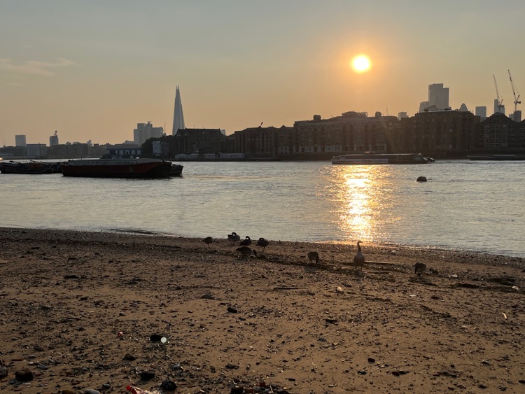 A photo of Rotherhithe Beach