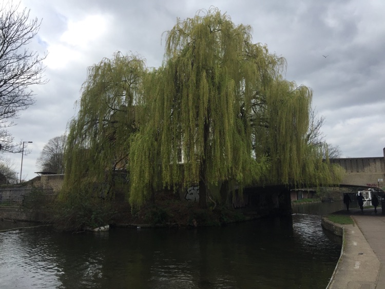 Lungo il regent's Canal fra Mile End Park e Victoria Park