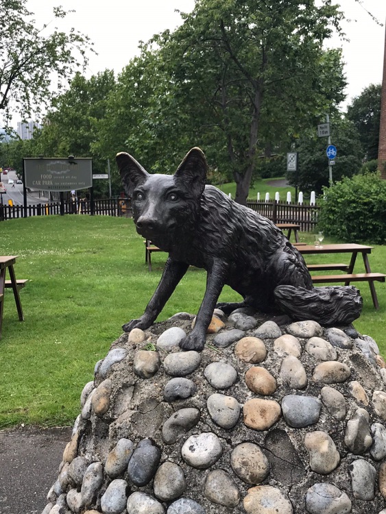 A photo of The Fox on the Hill