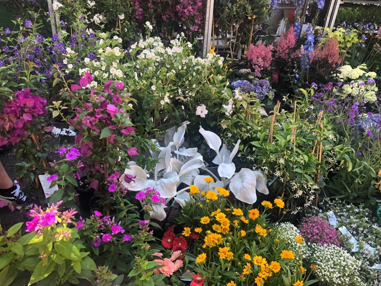 Flowers