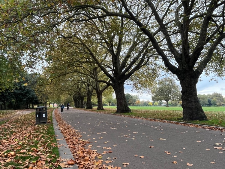 A photo of Victoria Park