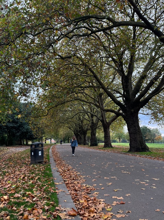 A photo of Victoria Park