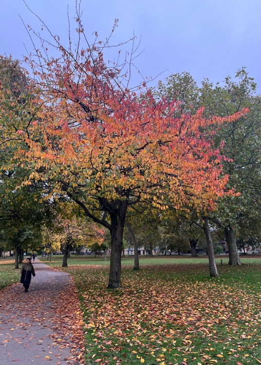 A photo of Victoria Park