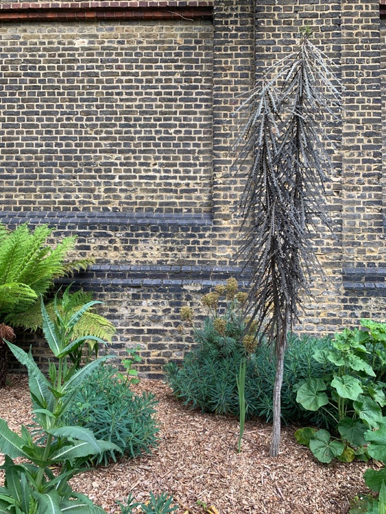 A photo of Haggerston Park