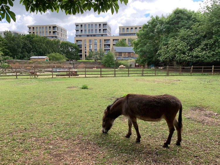 A photo of Haggerston Park
