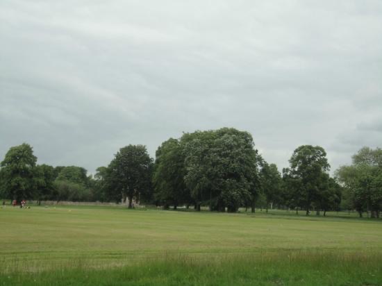 A photo of Victoria Park