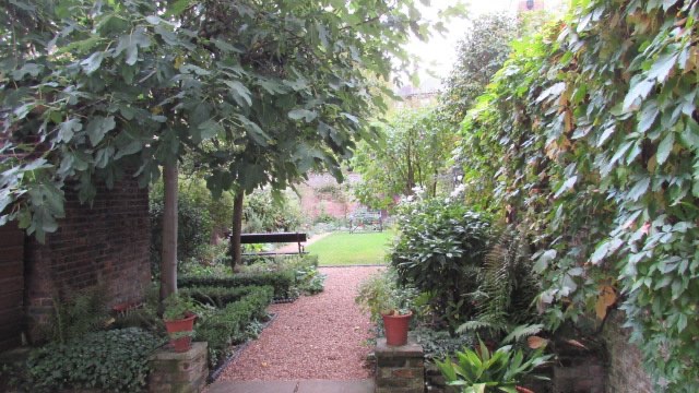 The garden ..Small , But well kept ..