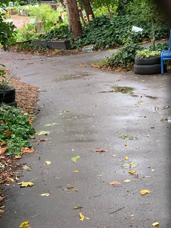 A photo of St Mary's Secret Garden