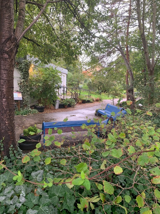A photo of St Mary's Secret Garden