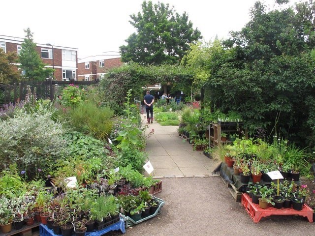 A photo of St Mary's Secret Garden